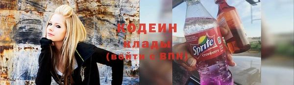 крисы Новокубанск