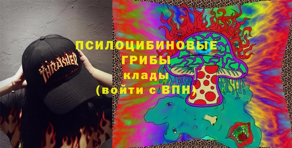крисы Новокубанск