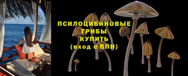 прущий лед Новозыбков