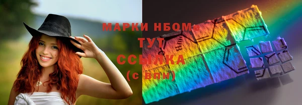 крисы Новокубанск