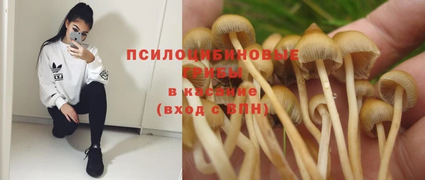 бутират Новодвинск