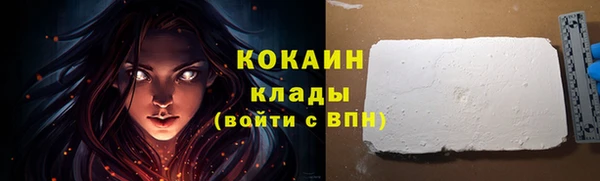 крисы Новокубанск