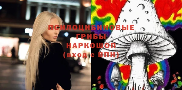 прущий лед Новозыбков