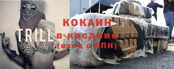 прущий лед Новозыбков