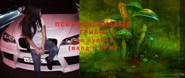 прущий лед Новозыбков