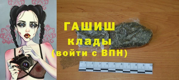 прущий лед Новозыбков