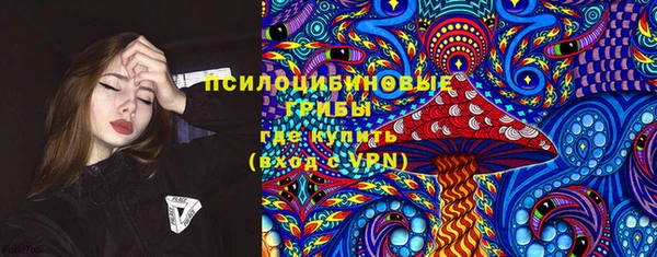 прущий лед Новозыбков