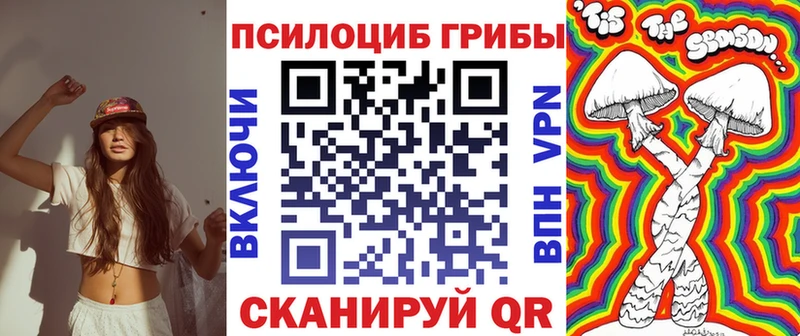 ОМГ ОМГ как войти  Новокузнецк  Галлюциногенные грибы Psilocybe 