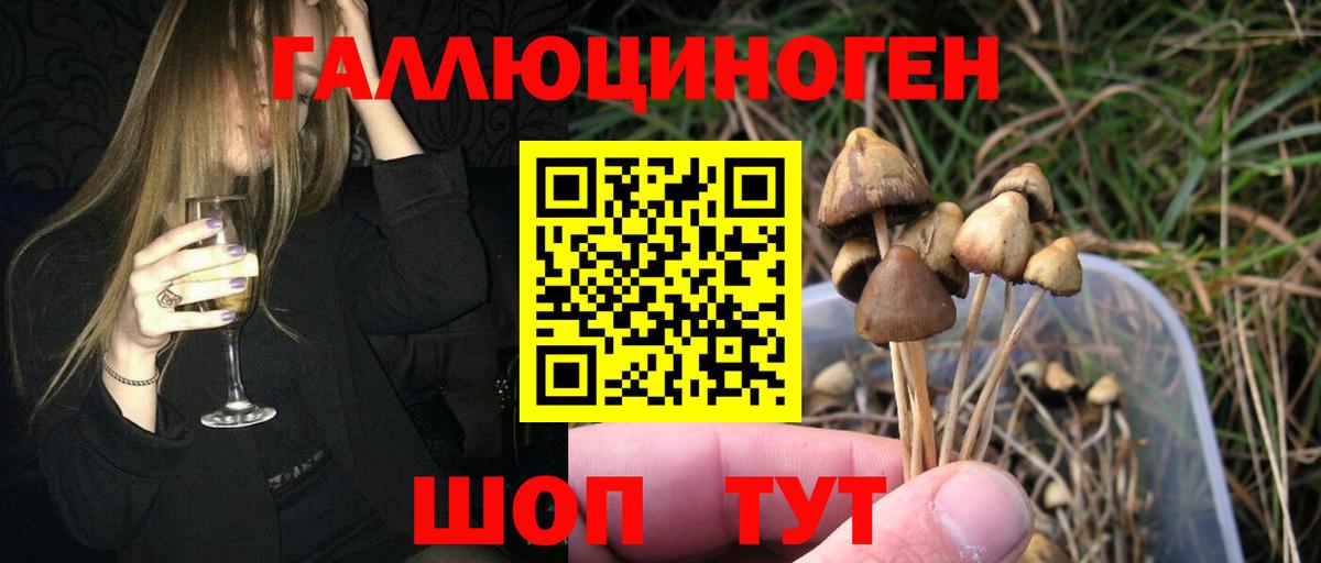 Галлюциногенные грибы GOLDEN TEACHER Новокузнецк