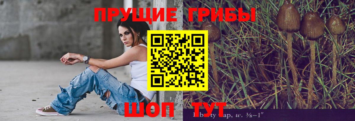 Новокузнецк  Галлюциногенные грибы Psilocybine cubensis  Вход с VPN 