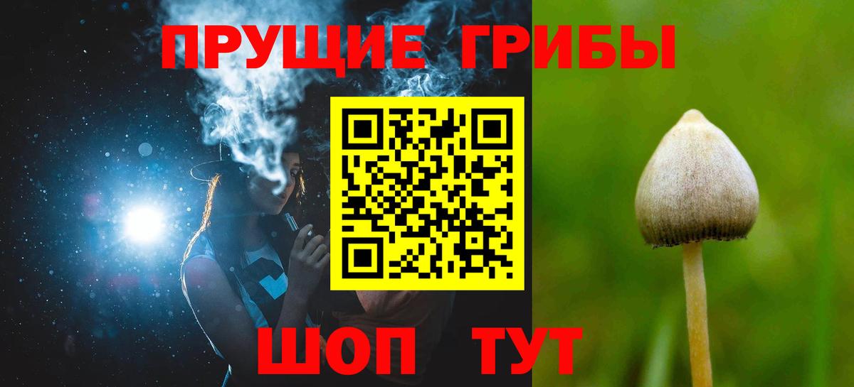 Галлюциногенные грибы ЛСД Новокузнецк