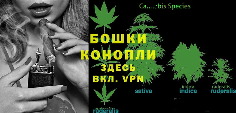 OMG   купить  сайты  Новокузнецк  МАРИХУАНА SATIVA & INDICA 